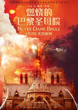 燃烧的巴黎圣母院 Notre